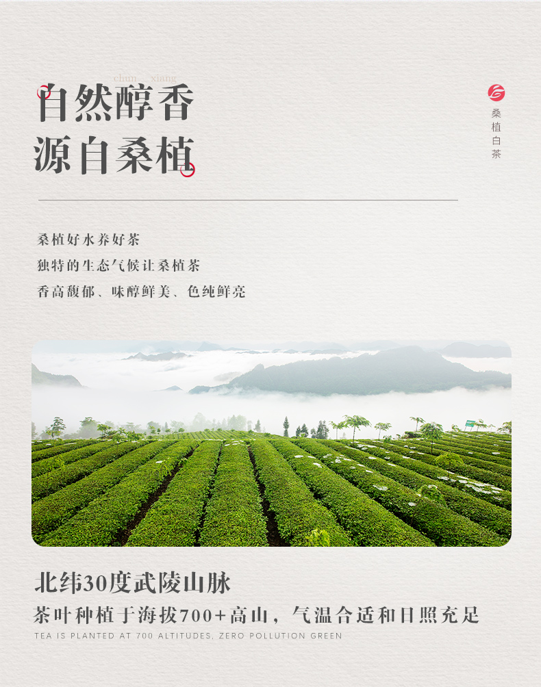 桑植白亚英体育（中国）股份有限公司官网_03.jpg