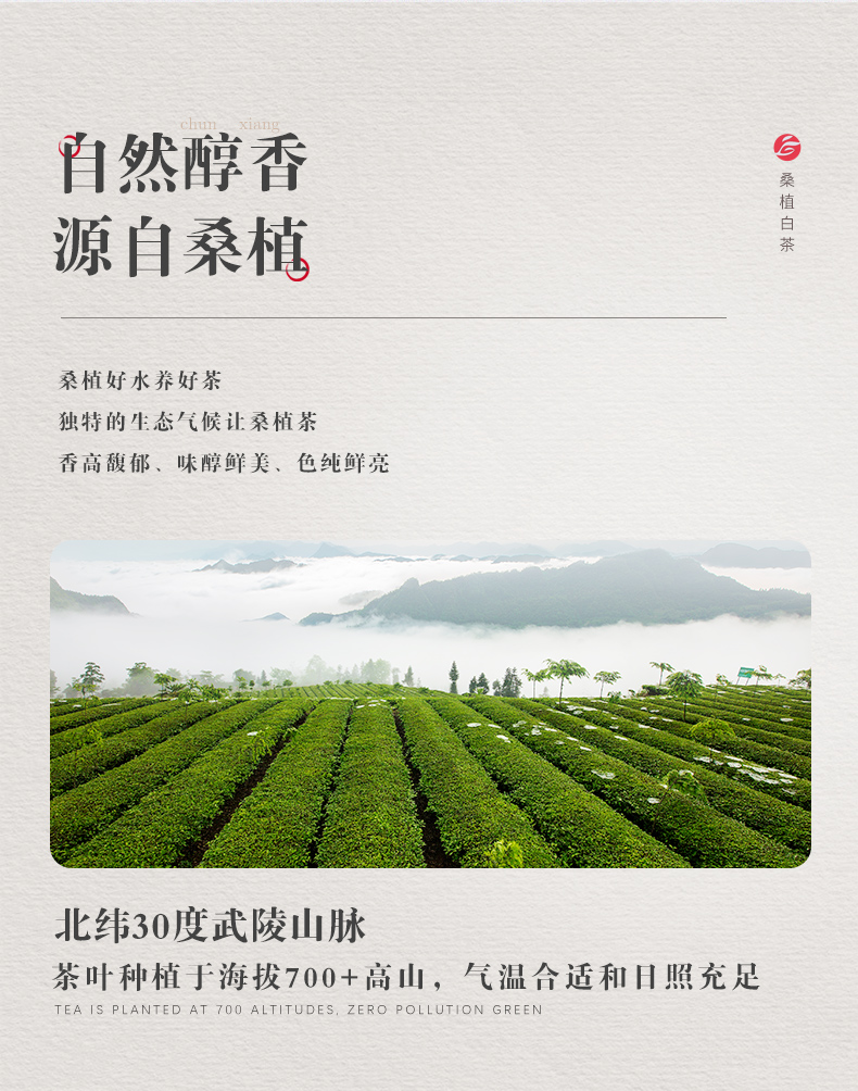 桑植白亚英体育（中国）股份有限公司官网立袋_03.jpg