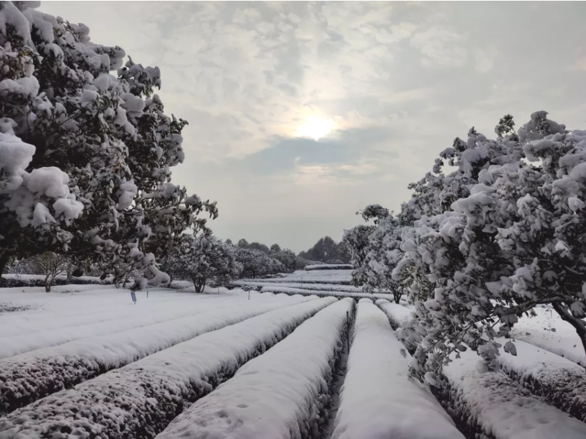 雪天的亚英体育（中国）股份有限公司官网山.png