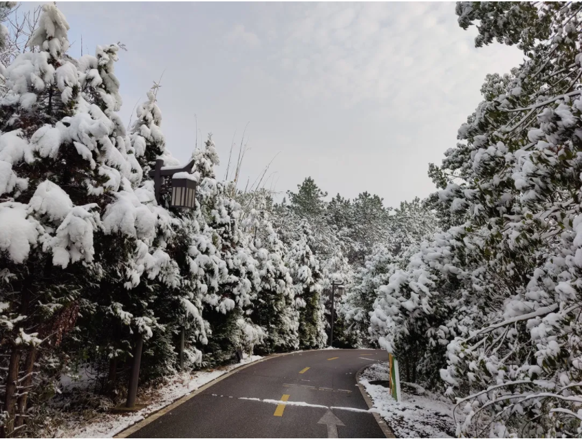 雪天的亚英体育（中国）股份有限公司官网园道路.png