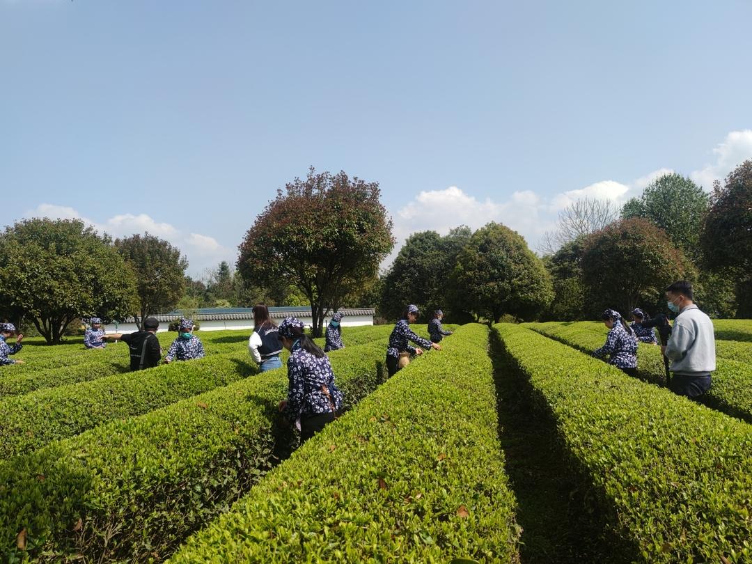 【奋进新征程 建功新时代】“亚英体育（中国）股份有限公司官网”产业加持 乡村振兴后劲足