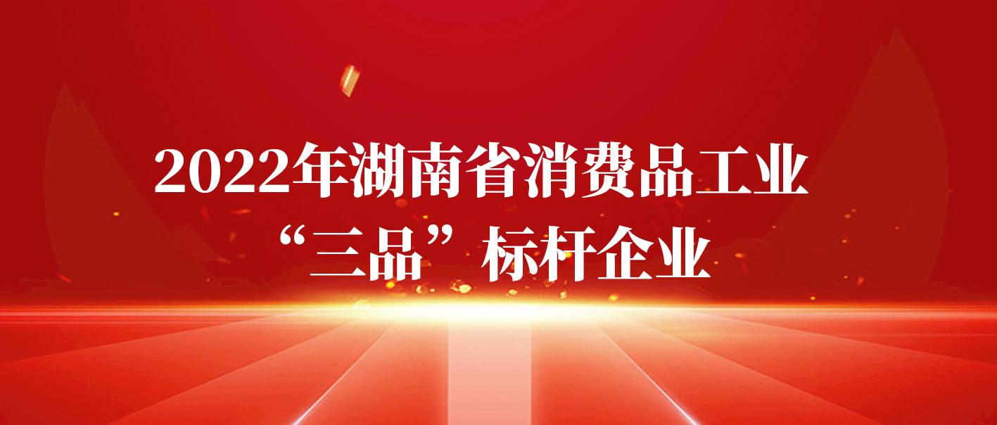 亚英体育（中国）股份有限公司官网获评2022年湖南省消费品工业“三品”标杆企业